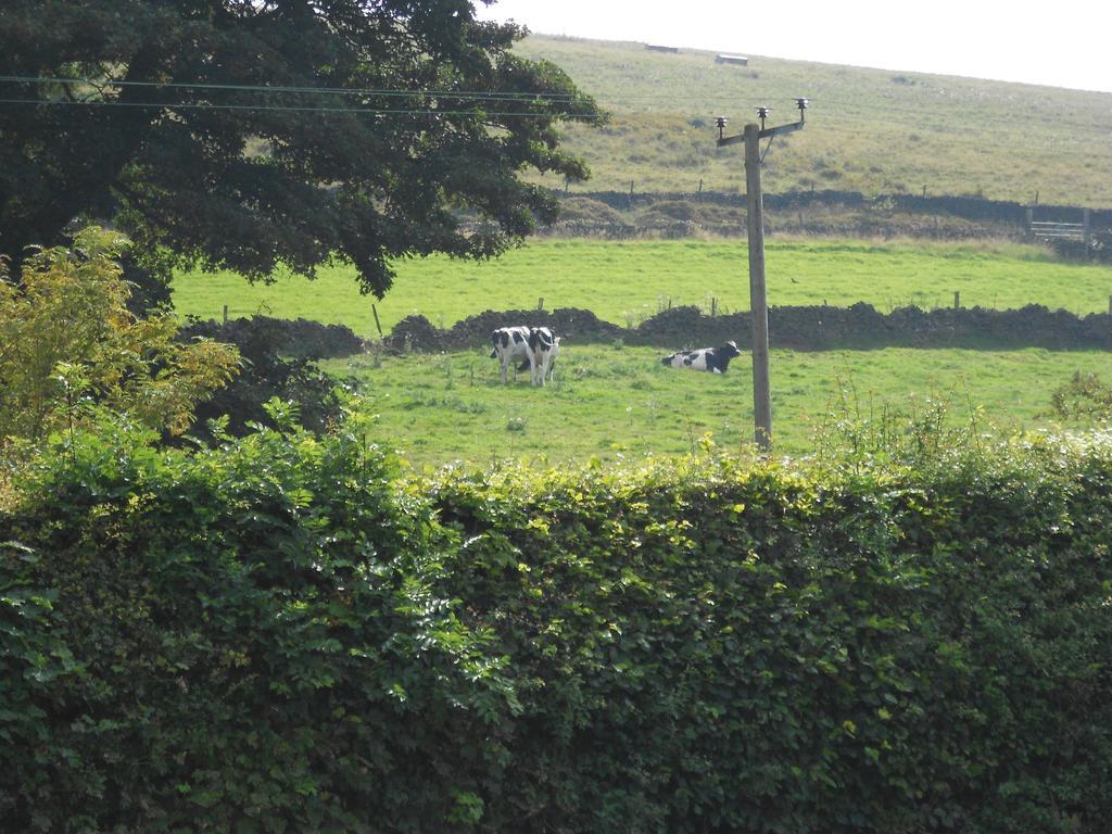 The Shady Oak B&B Whaley Bridge Dış mekan fotoğraf